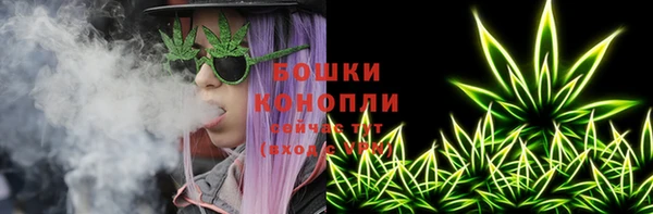 ешки Инта