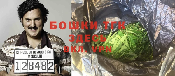 дживик Зеленодольск