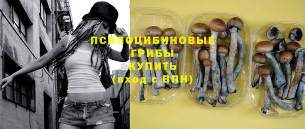 ешки Инта