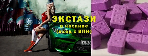 ешки Инта